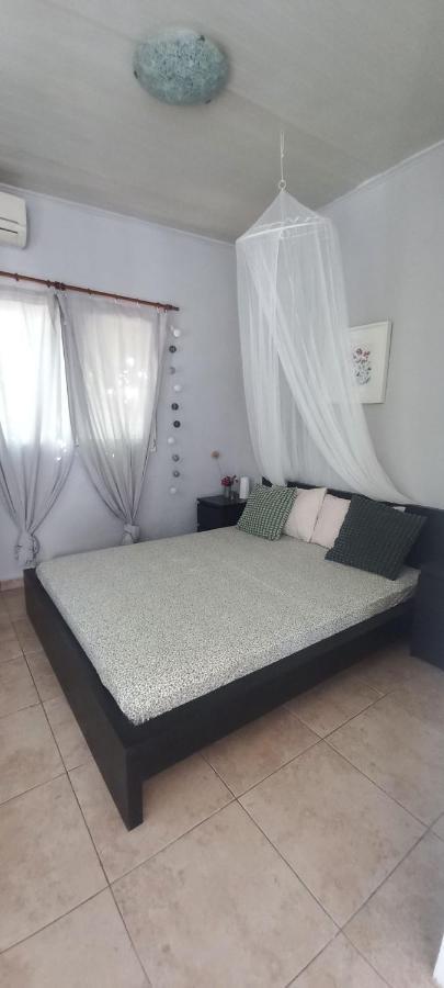 Vila Εξοχικό Maria Ambelakia Exteriér fotografie