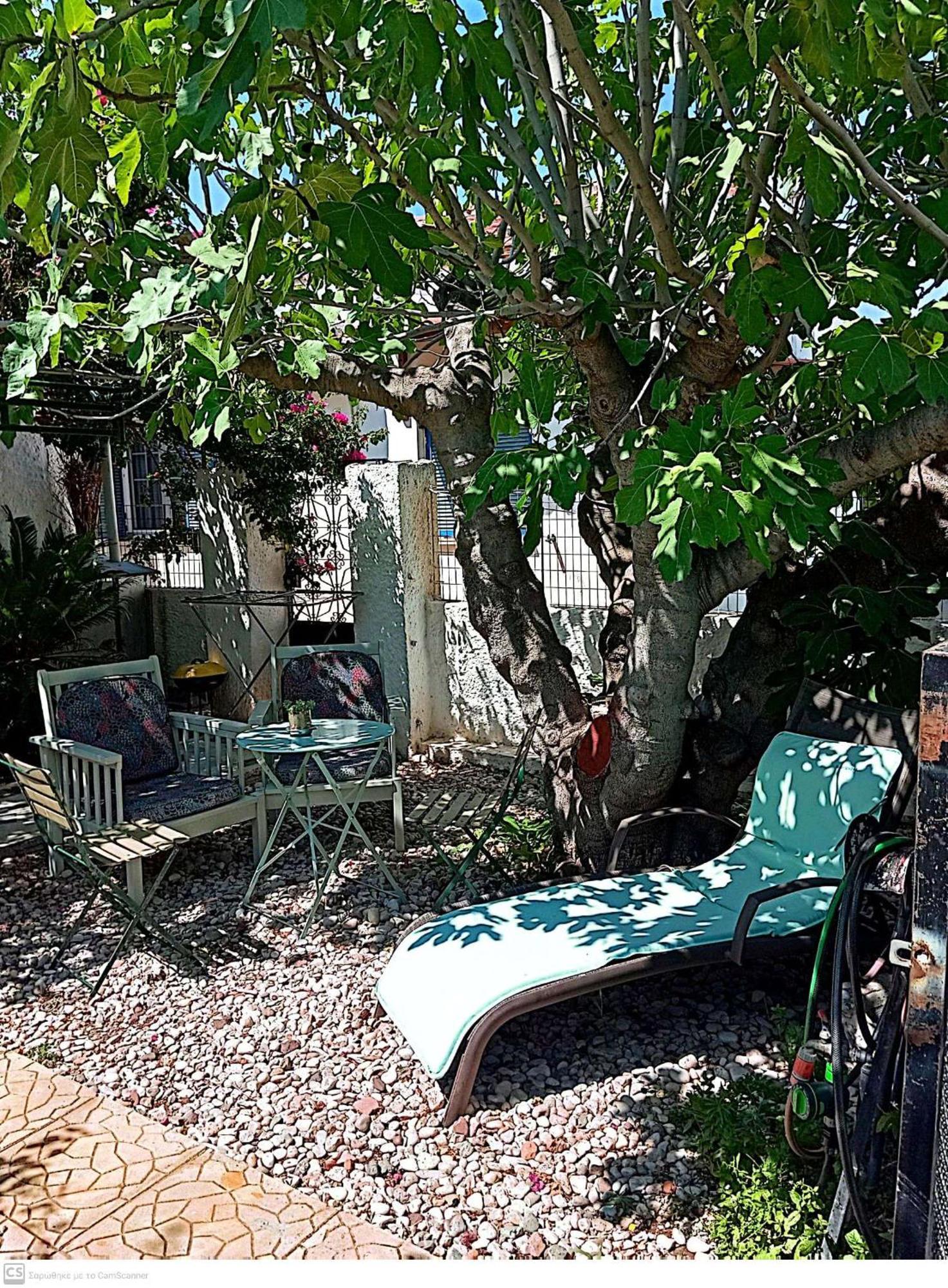Vila Εξοχικό Maria Ambelakia Exteriér fotografie
