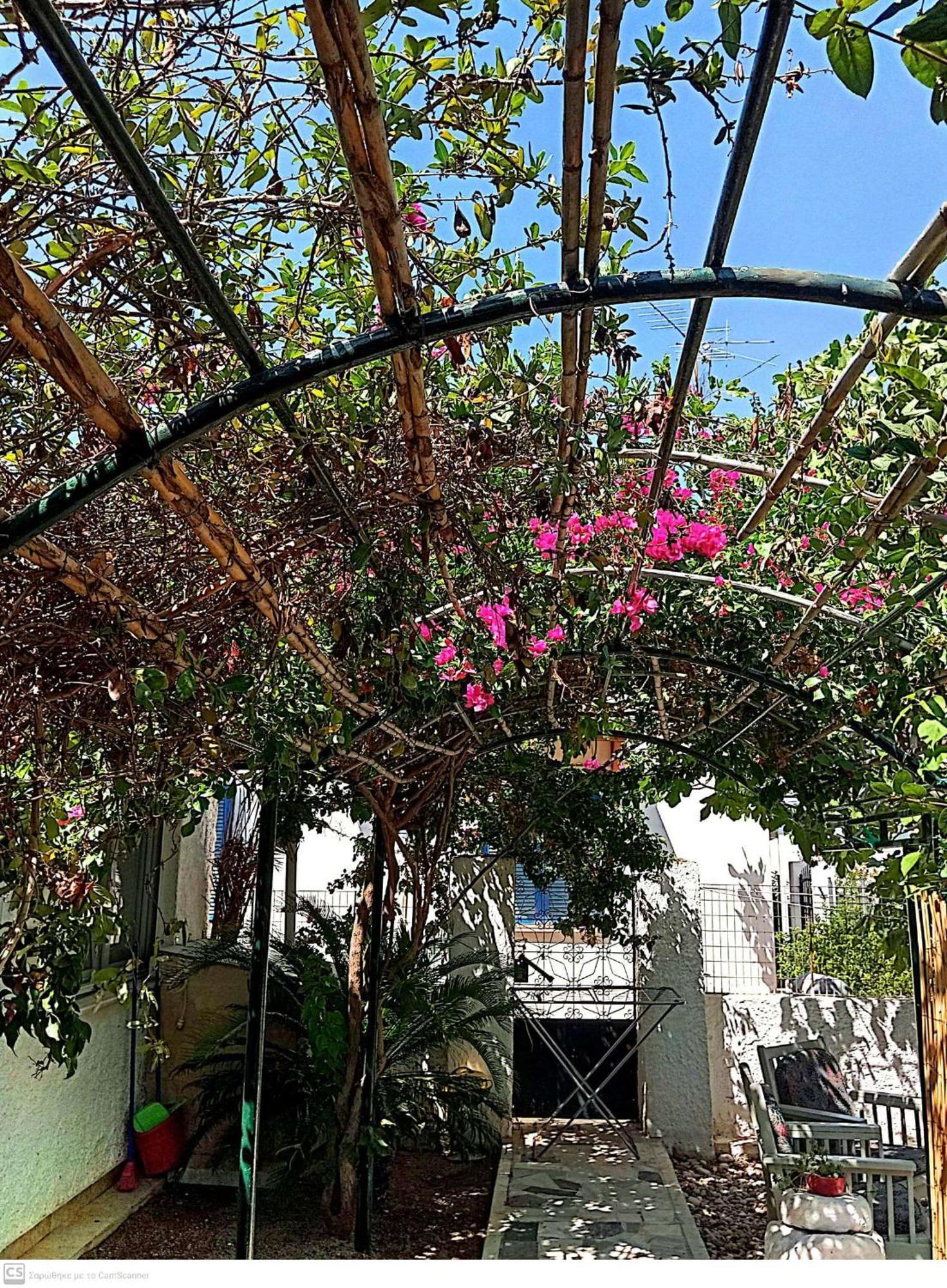 Vila Εξοχικό Maria Ambelakia Exteriér fotografie