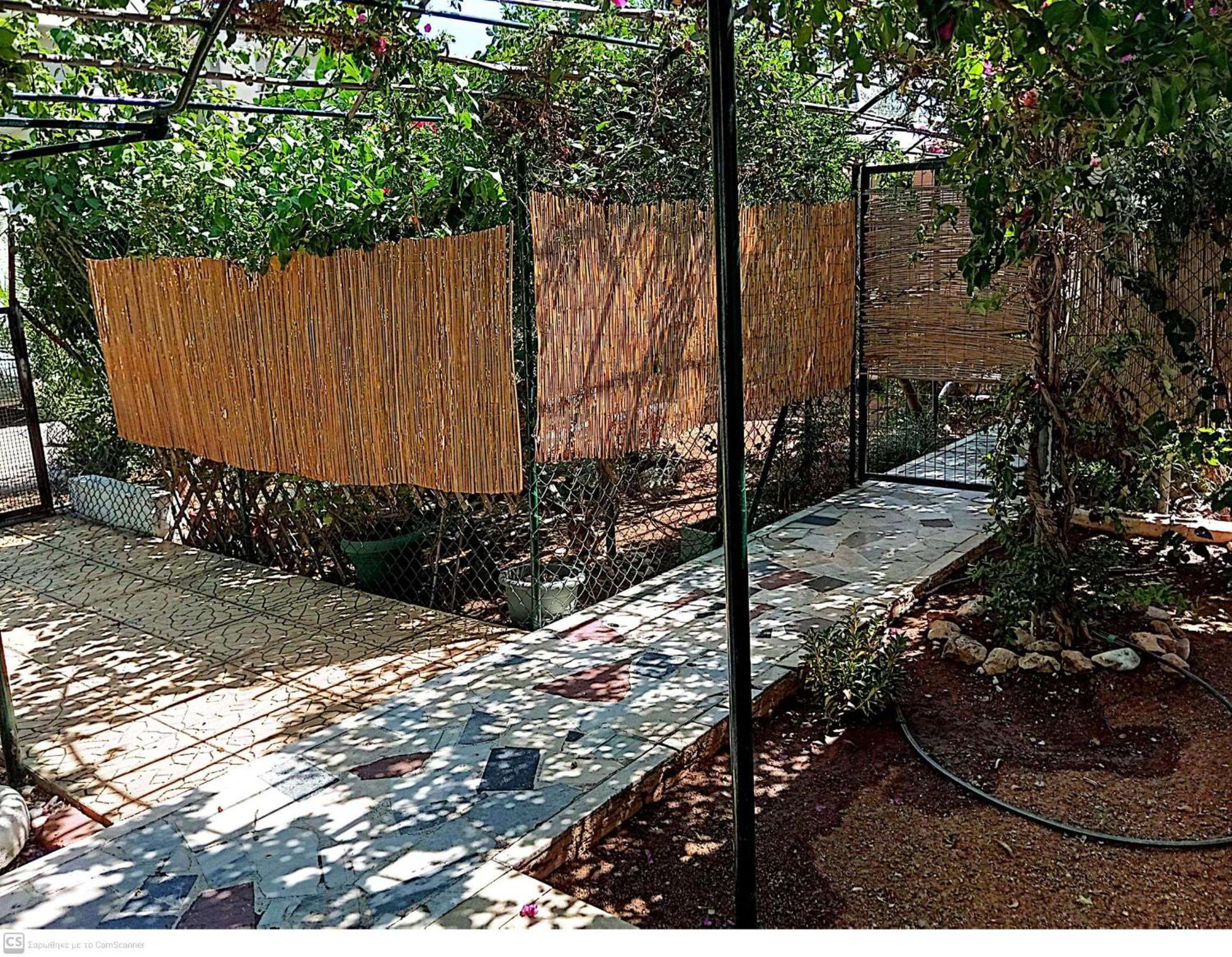 Vila Εξοχικό Maria Ambelakia Exteriér fotografie