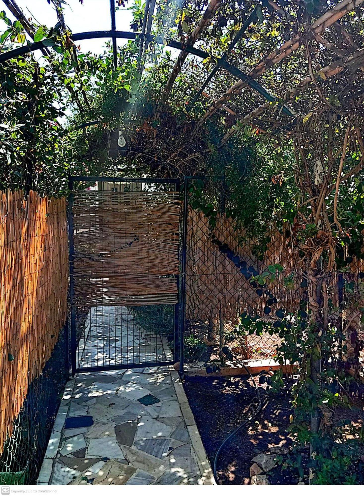 Vila Εξοχικό Maria Ambelakia Exteriér fotografie