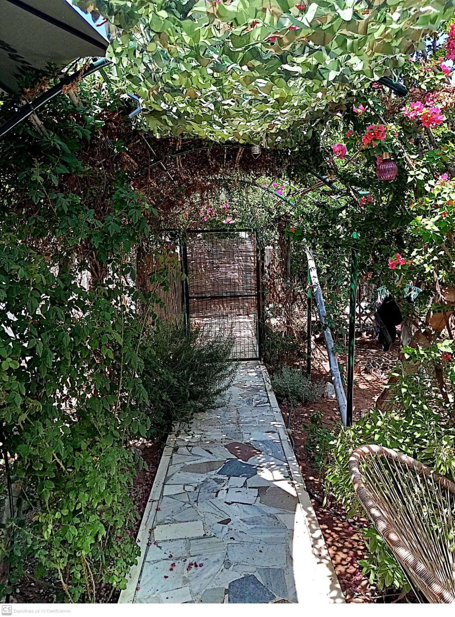 Vila Εξοχικό Maria Ambelakia Exteriér fotografie