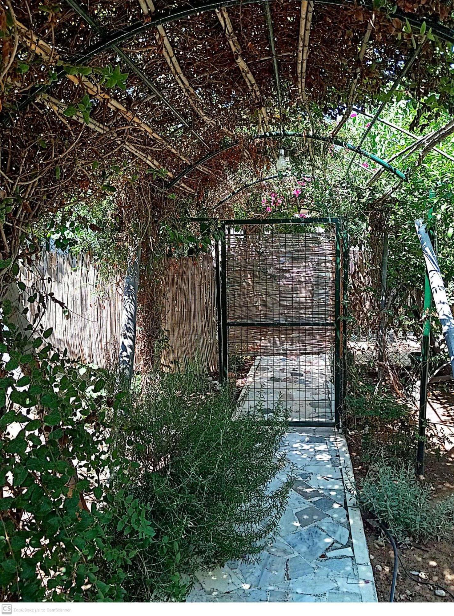 Vila Εξοχικό Maria Ambelakia Exteriér fotografie